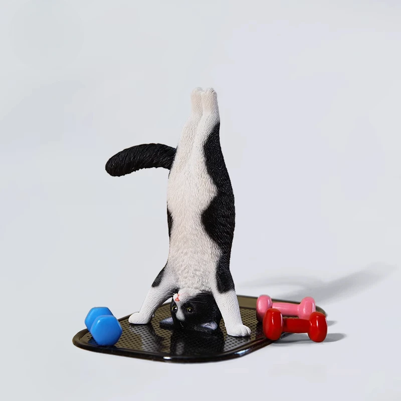 1/6 Yoga cat model simulation  - огляд і ціна Yoga Fitness Model